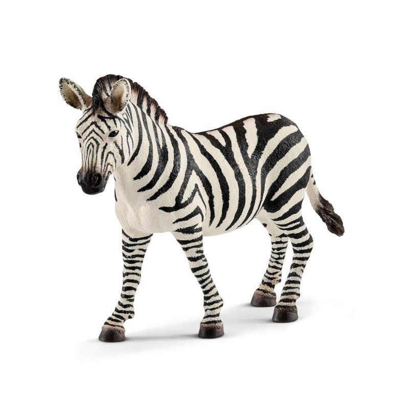 schleich WILD LIFE Zébrelle