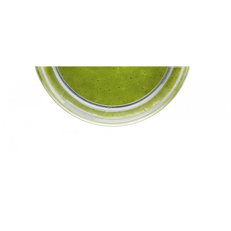 Bosch MMZV0BT1 drinking bottle Daily usage 500 ml Tritan Black, Transparent