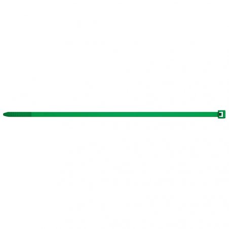 Fischer 543927 cable tie Nylon Green 100 pc(s)