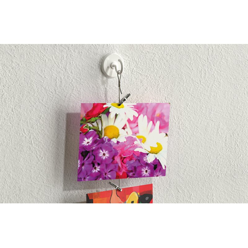 Fisc GOW Klebehaken | 545950