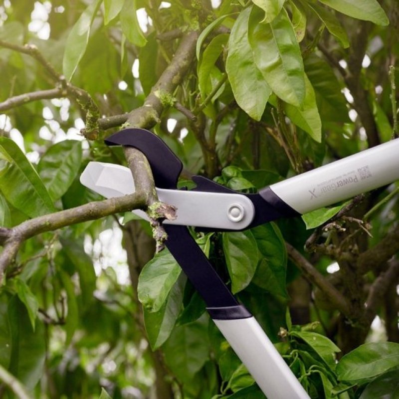 Fiskars 1020187 élagueur Élagueuse coudée