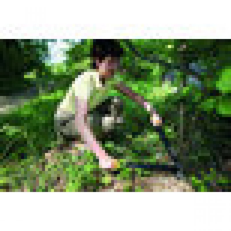 Fiskars Coupe-branches PowerGear™ (M) L74 à crémaillère et à crochet