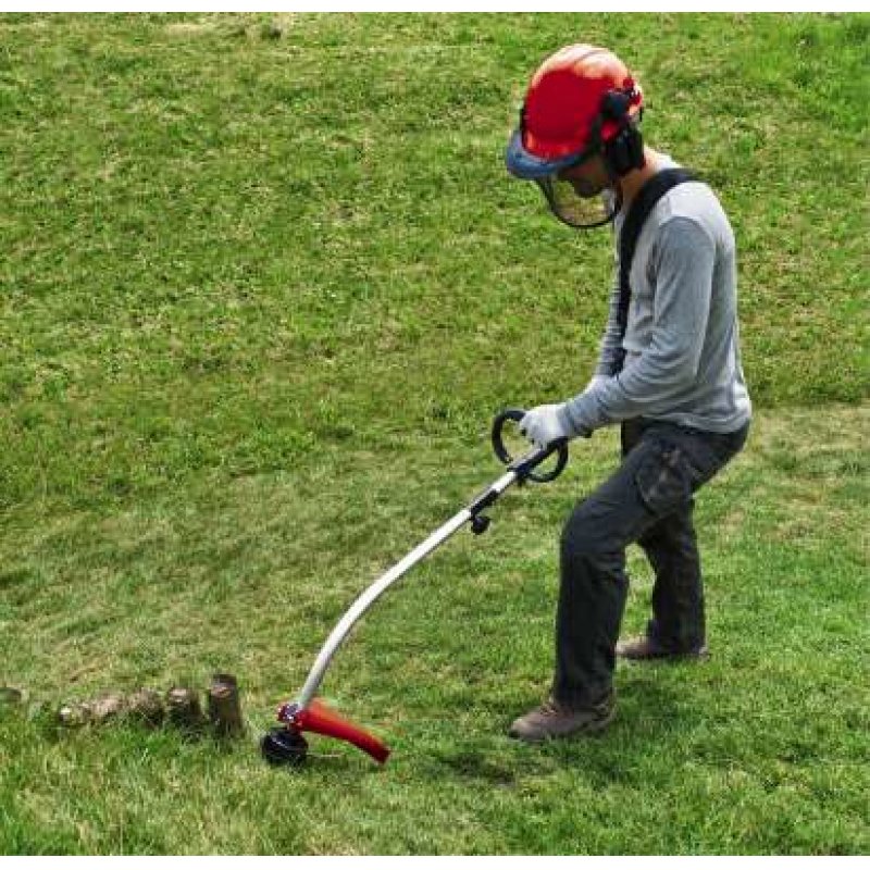 Einhell GC-PT 2538/1 I AS 600 W Essence Noir, Gris, Rouge