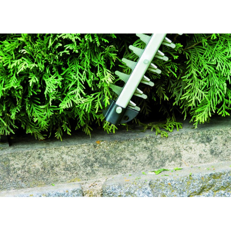 Einhell GC-EH 4550 Double-lame 450 W 2,5 kg