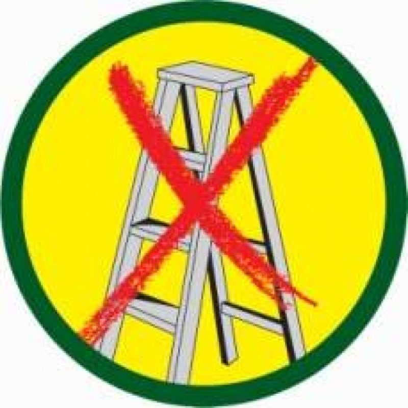 Wolf Profi-Baumschere Ms           RC-VM