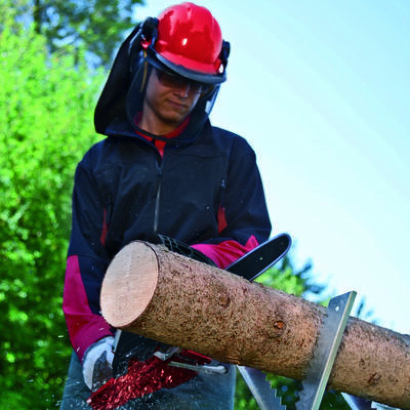 Einhell GE-EC 2240 2200 W 7800 RPM Black, Red