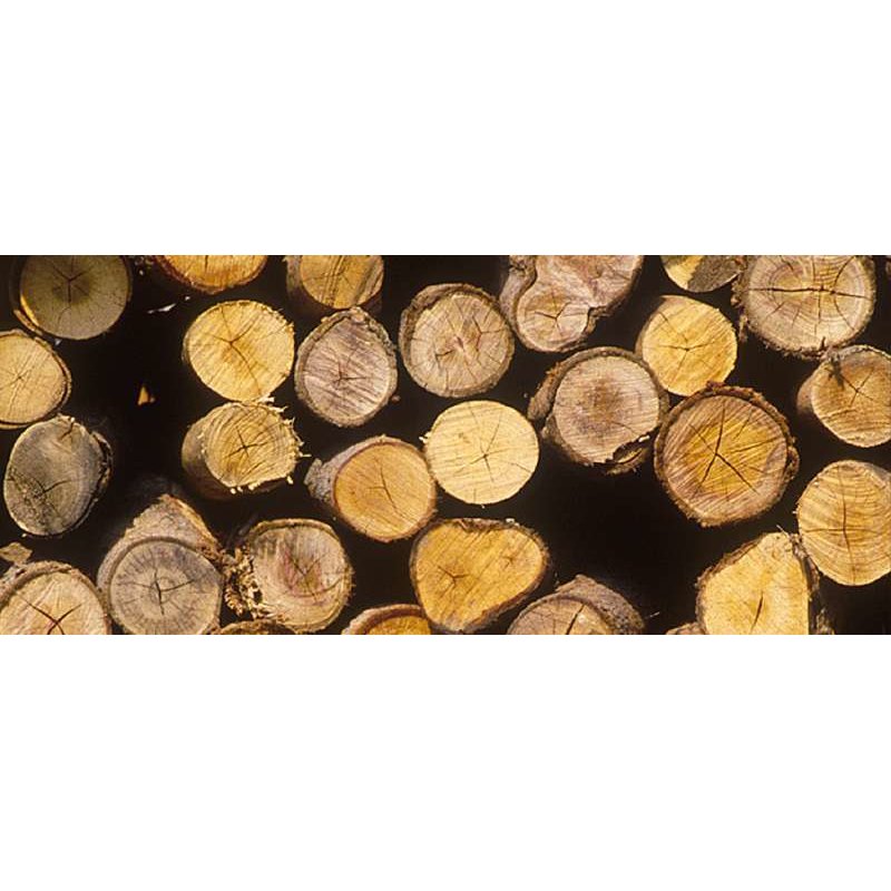 Einhell GE-LC 18 Li - Solo Black, Red