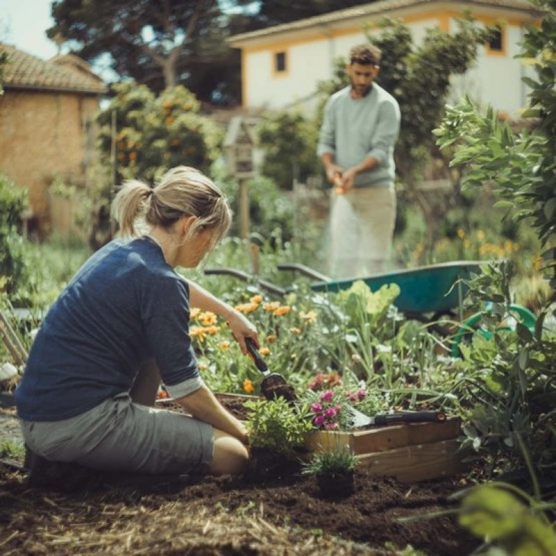 Fiskars compatible Xact Blumenkelle | 1027043