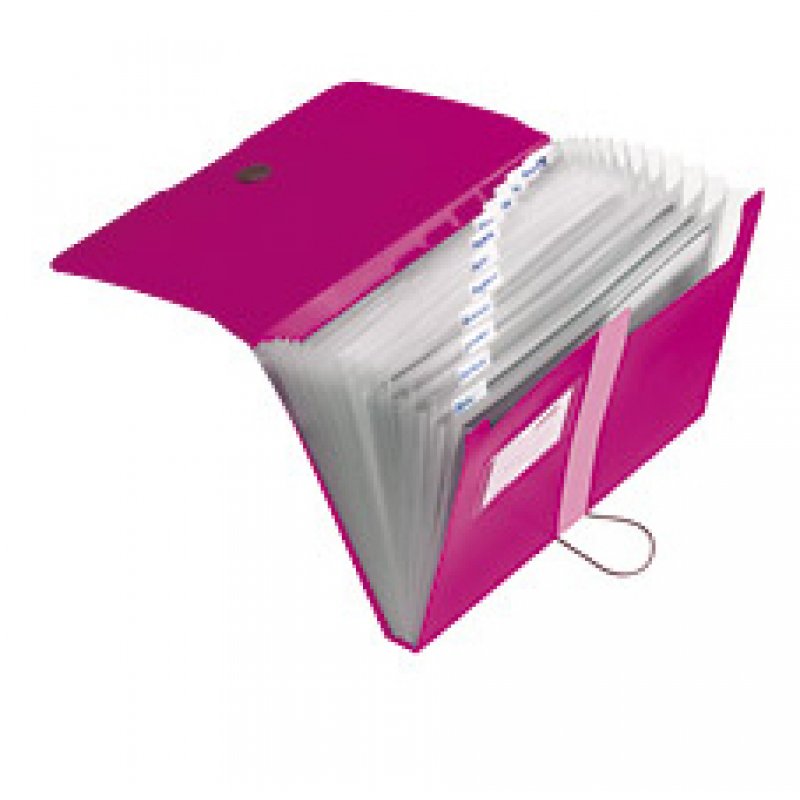 Herl Fächermappe 12 Fächer vt