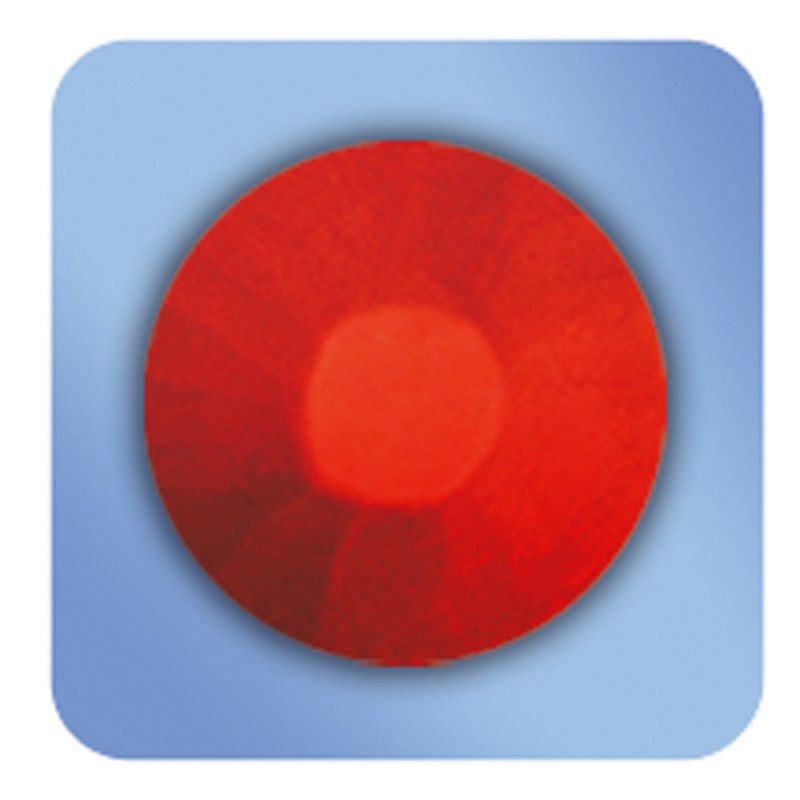 Pelikan 723148 crayon 8 pièce(s)