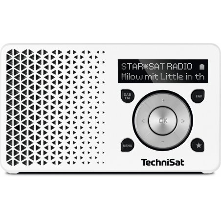 TechniSat DigitRadio 1 Portable Numérique Argent, Blanc