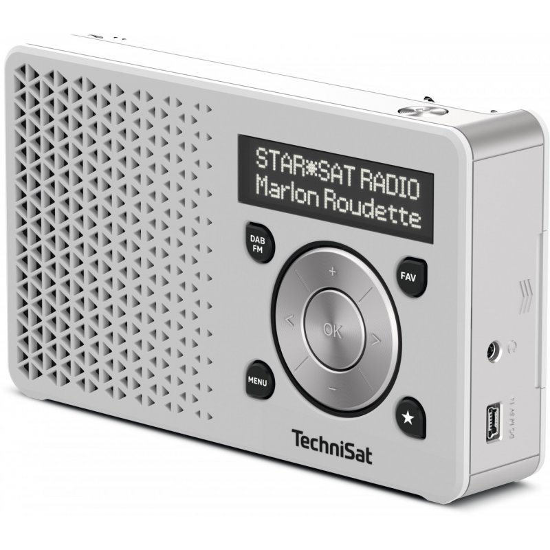 TechniSat DigitRadio 1 Portable Numérique Argent, Blanc