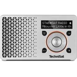 TechniSat DigitRadio 1 Portable Digital Orange, Silver