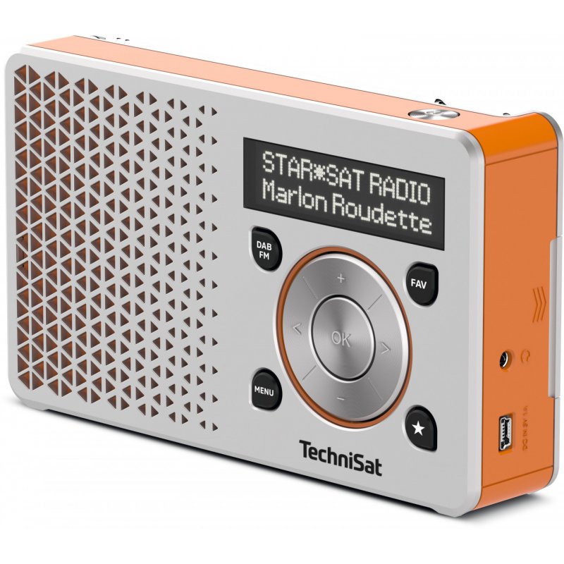 TechniSat DigitRadio 1 Portable Digital Orange, Silver