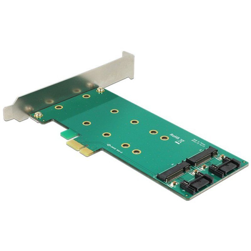 DeLOCK PCIe x1  2 x M.2 Key B Low Profi
