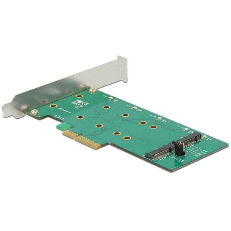 DeLOCK PCIe  x1  2 x M.2 Key B