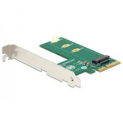 DeLOCK 89561 interface cards/adapter Internal M.2