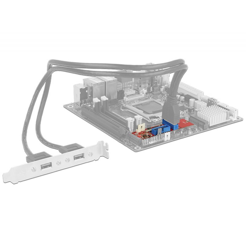 DeLOCK M.2 Key B+M  2x USB3.0 Pfostenst | Konverter