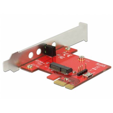 DeLOCK 89889 interface cards/adapter Internal M.2