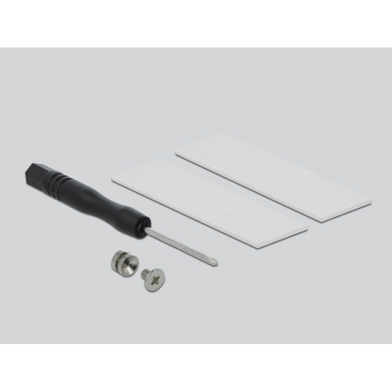 DeLOCK 64105 carte et adaptateur d'interfaces M.2