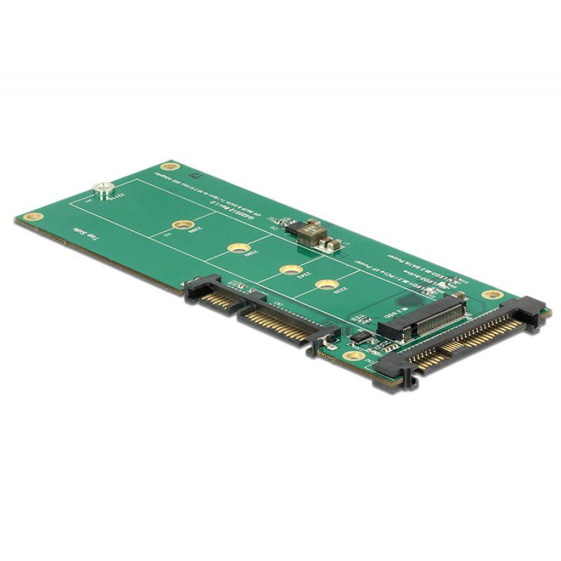 DeLOCK Konverter U.2 SFFSATA /M.2 22P | SFF-8639 NVMe / M.2 Key M