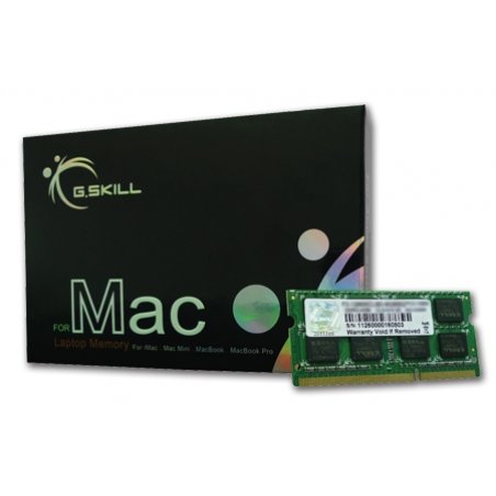 G.Skill 4GB DDR3-1066 SQ MAC memory module 1 x 4 GB 1066 MHz