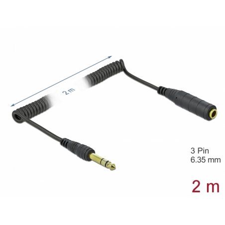 DeLOCK 85938 audio cable 2 m 6.35mm Black