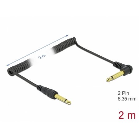 DeLOCK 85939 câble audio 2 m 6,35 mm Noir