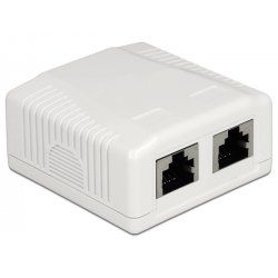 DeLOCK 86197 socket-outlet 2 x RJ-45 White