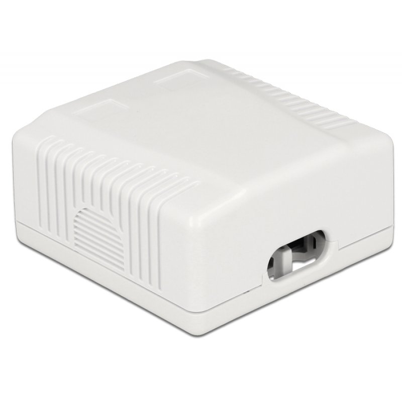 DeLOCK 86197 prise de courant 2 x RJ-45 Blanc
