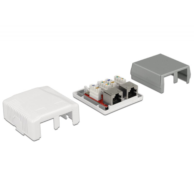 DeLOCK 86197 prise de courant 2 x RJ-45 Blanc