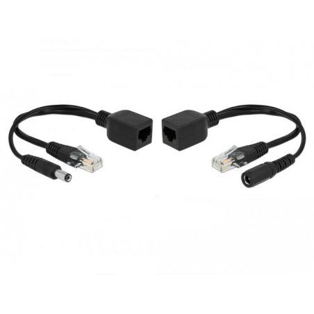 DeLOCK 66024 adaptateur et injecteur PoE Fast Ethernet