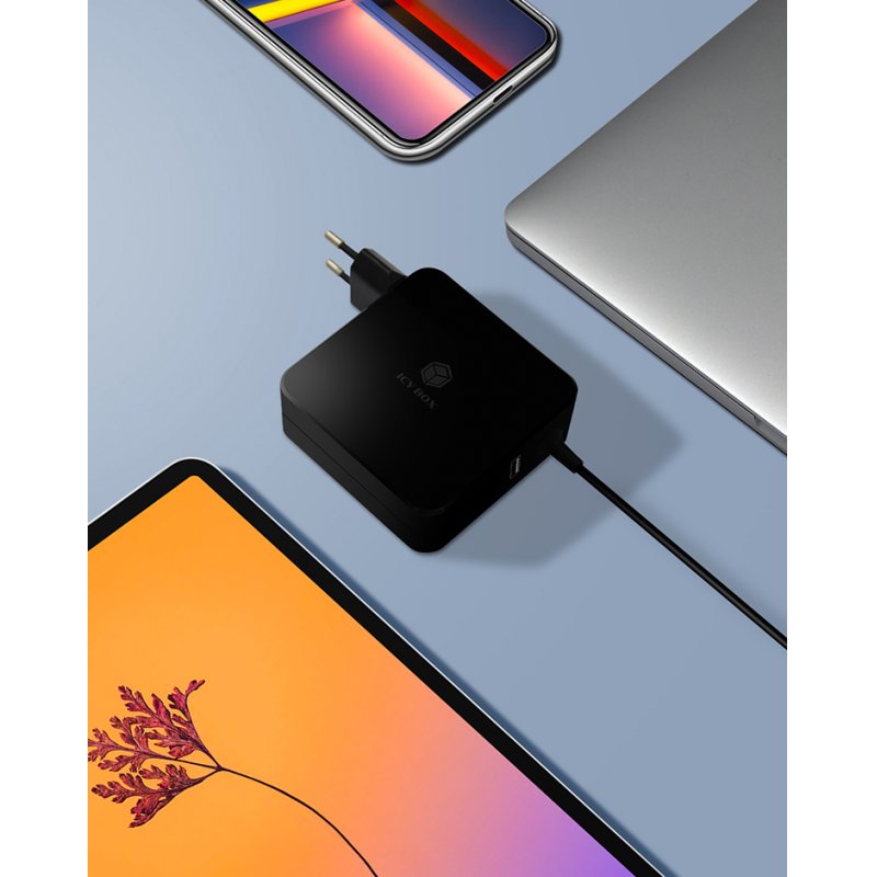 ICY BOX IB-PS101-PD | 60772