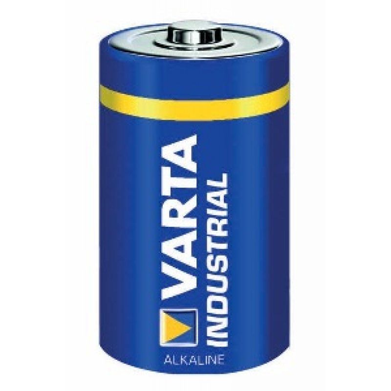 Varta 04020211111 Batterie à usage unique D Alcaline
