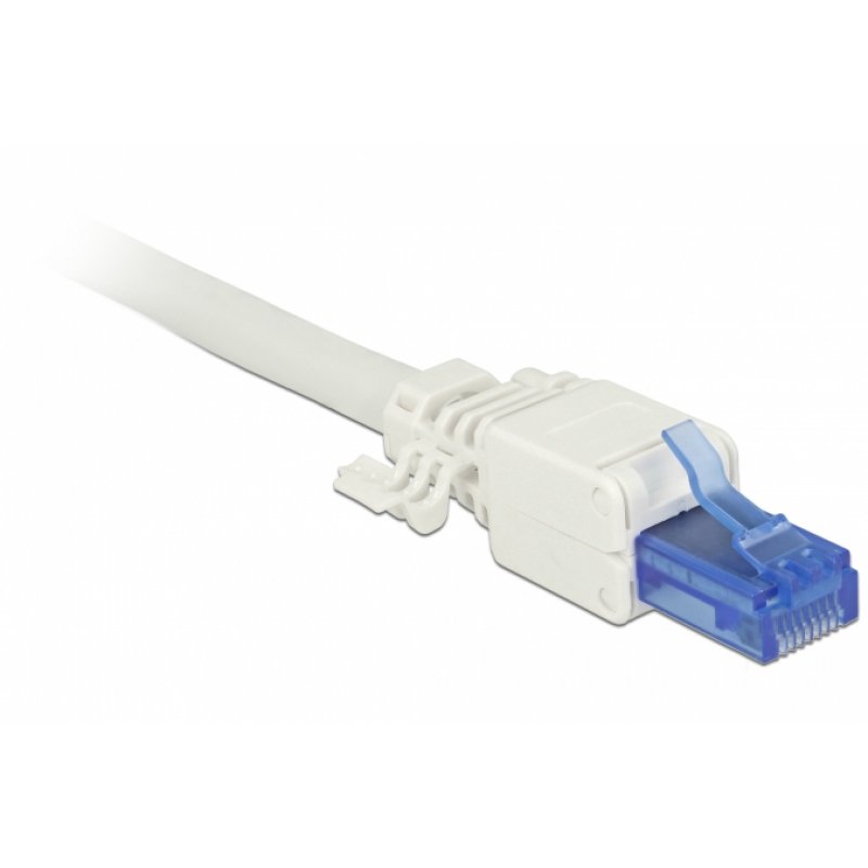 DeLOCK 86417 connecteur de fils RJ-45 Bleu, Blanc