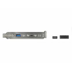 DeLOCK Slotblech 1x USB3.1 C+1x USB3.1 A | Gen 2 Gen 1