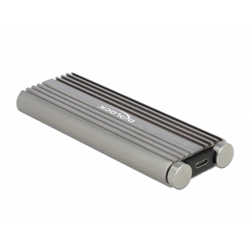 DeLOCK 42001 Boîtier de disques de stockage Enceinte ssd Argent M.2