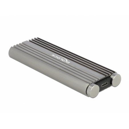 DeLOCK 42001 Boîtier de disques de stockage Enceinte ssd Argent M.2