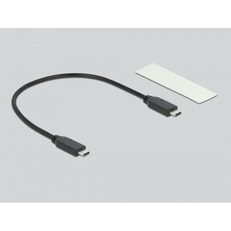 DeLOCK 42001 storage drive enclosure SSD enclosure Silver M.2