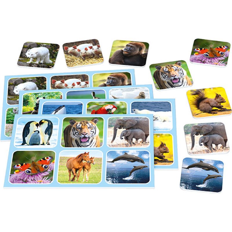 Schmidt Spiele Zoo Lotto Jeu de société Guerre