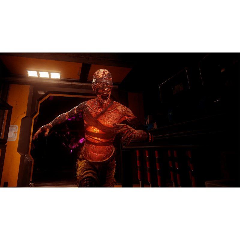 Perp The Persistence Enhanced Amélioré(e) Anglais PlayStation 5