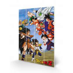 DRAGON BALL Z - Battle Clash - Impression sur bois 40x59cm