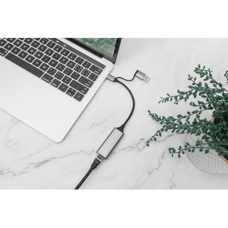 Digitus USB Type-C™ Gigabit Ethernet Adapter 2.5G, USB-C™ + USB A (USB3.1/3.0)