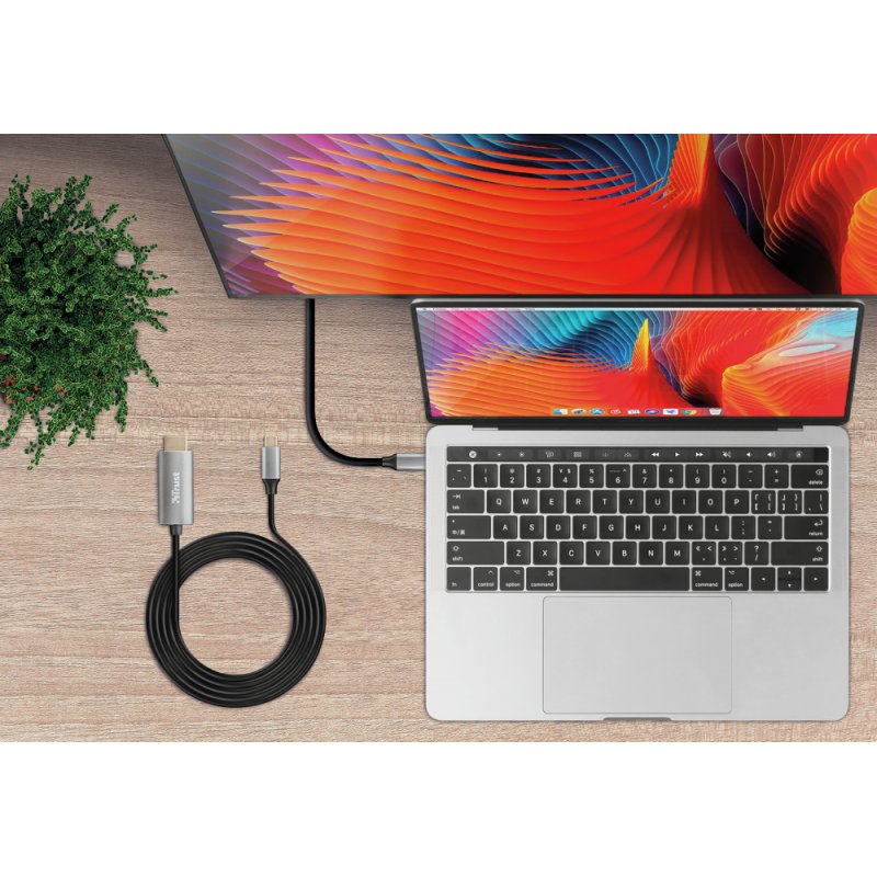 CALYX USB-C TO HDMI CABLE