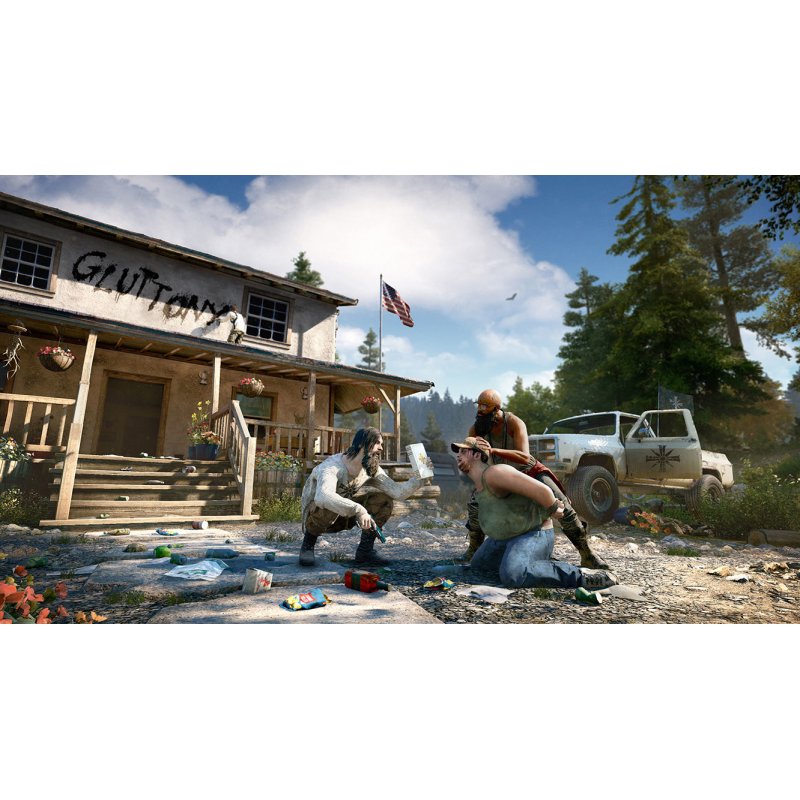 Ubisoft Far Cry 5 Standard PlayStation 4