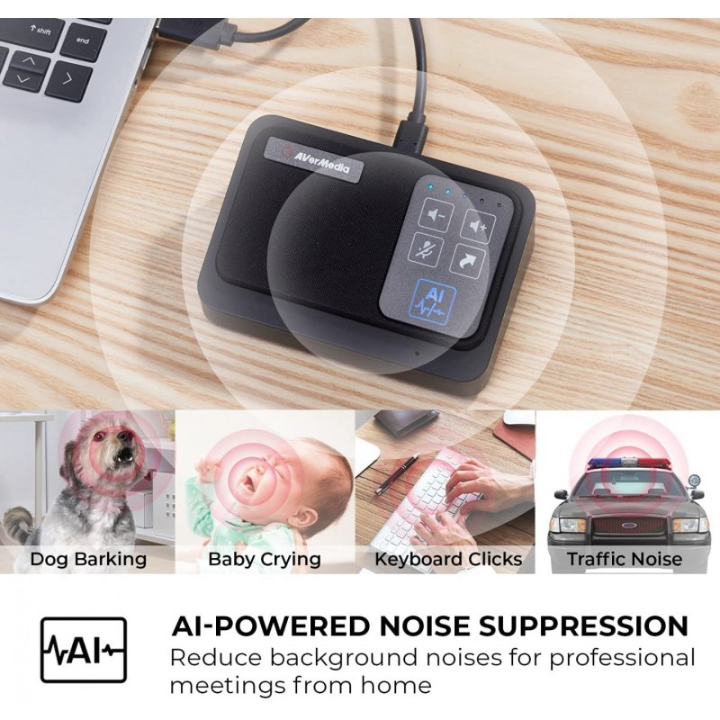 AVerMedia AI SPEAKERPHONE - AS311 haut-parleur Universel Noir