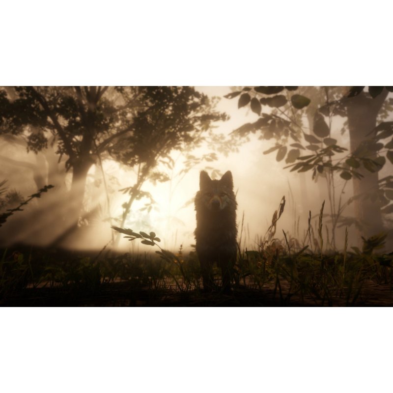 Sony Red Dead Redemption 2, PS4 Standard Anglais PlayStation 4