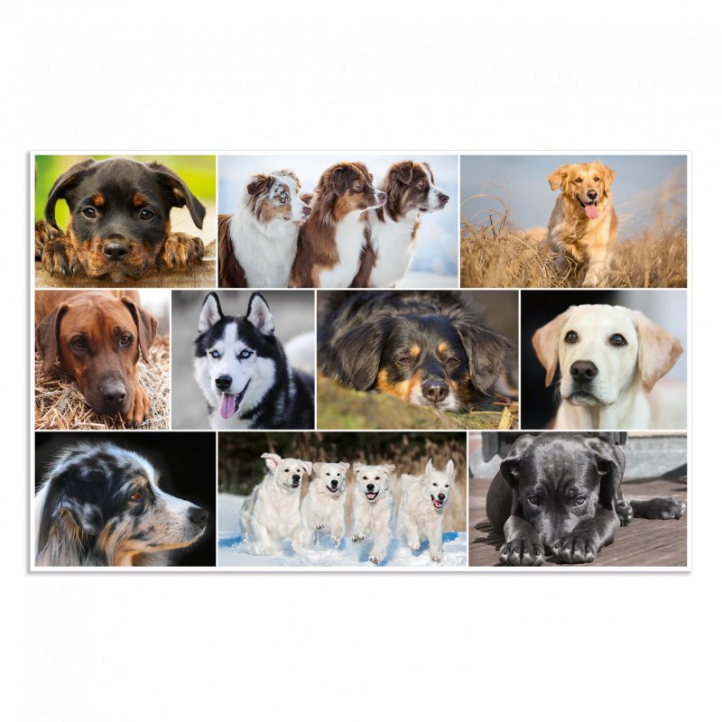 HERMA 19378 sous-mains Carton Multicolore