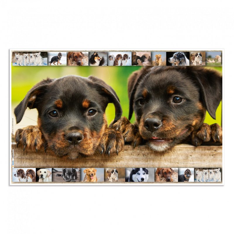 Sous-main Herma 55x35cm (Thème Chiens)