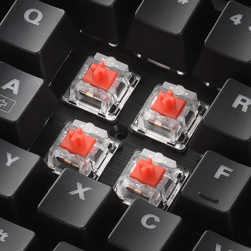 Sharkoon SKILLER SGK30 clavier USB QWERTY Portuguais Noir